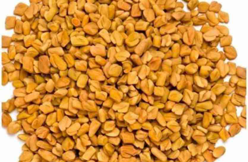 FENUGREEK SEEDS